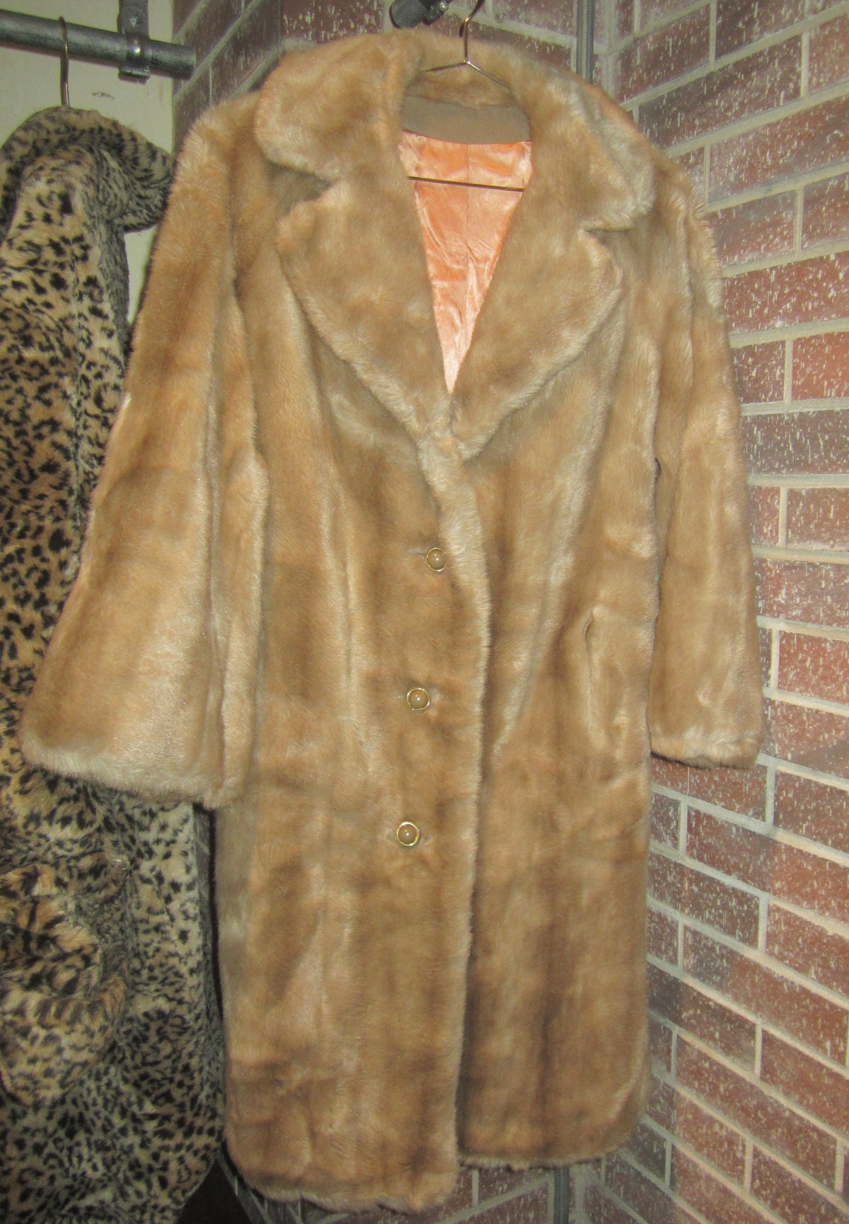 Taupe Velvet Reverie