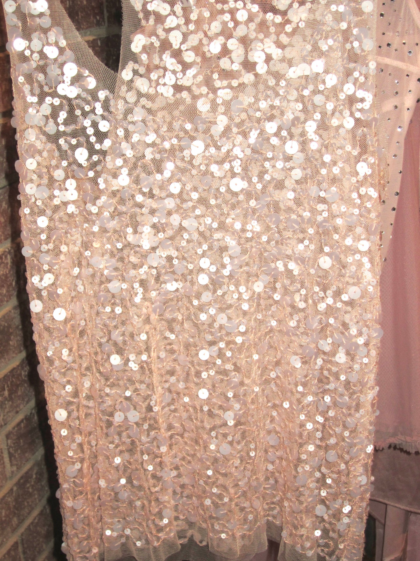 00 pink sheer sequin top