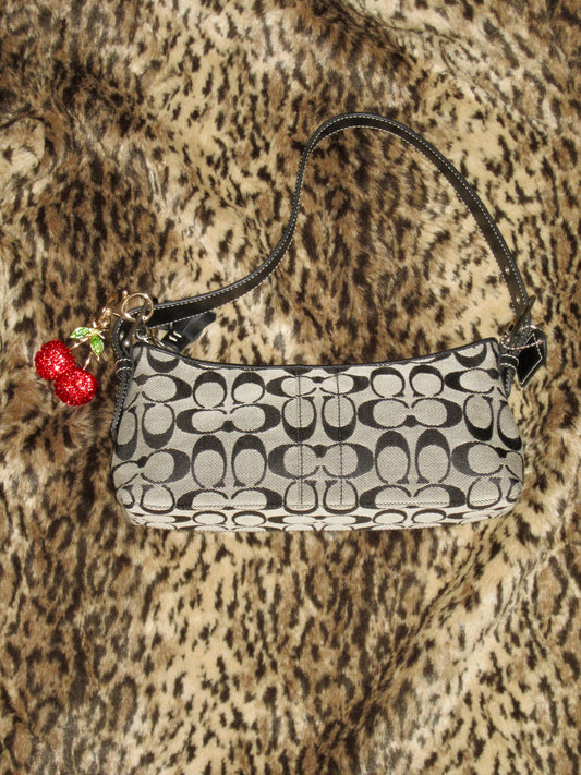 Old coach handbag