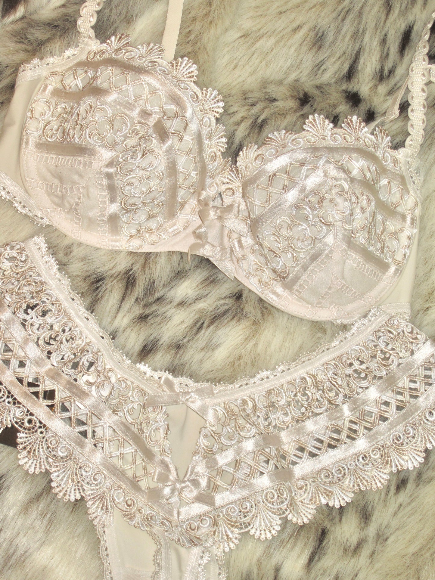 RAVAGE French vintage Antoinette lingerie SET