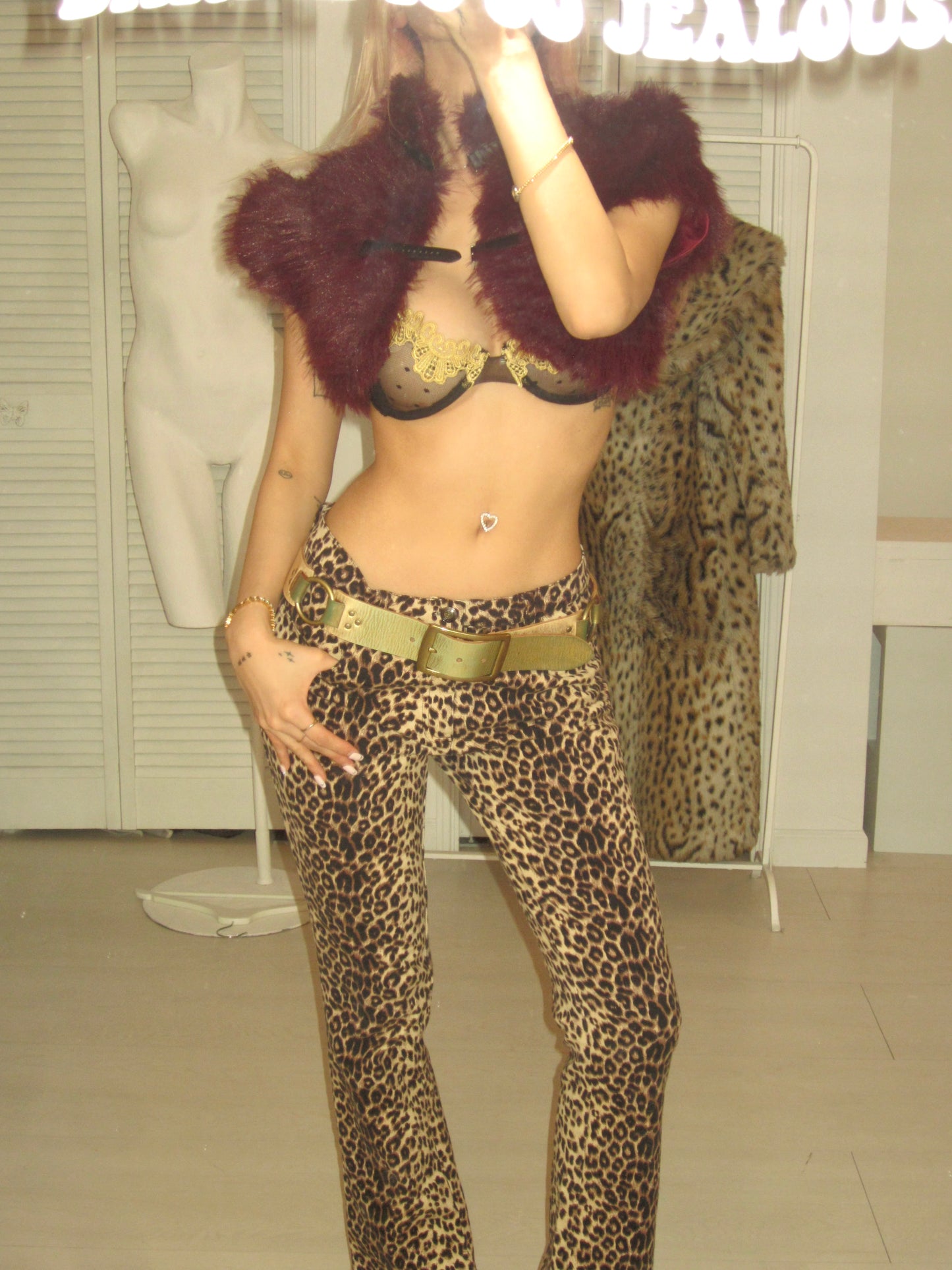 The gothic cathedral