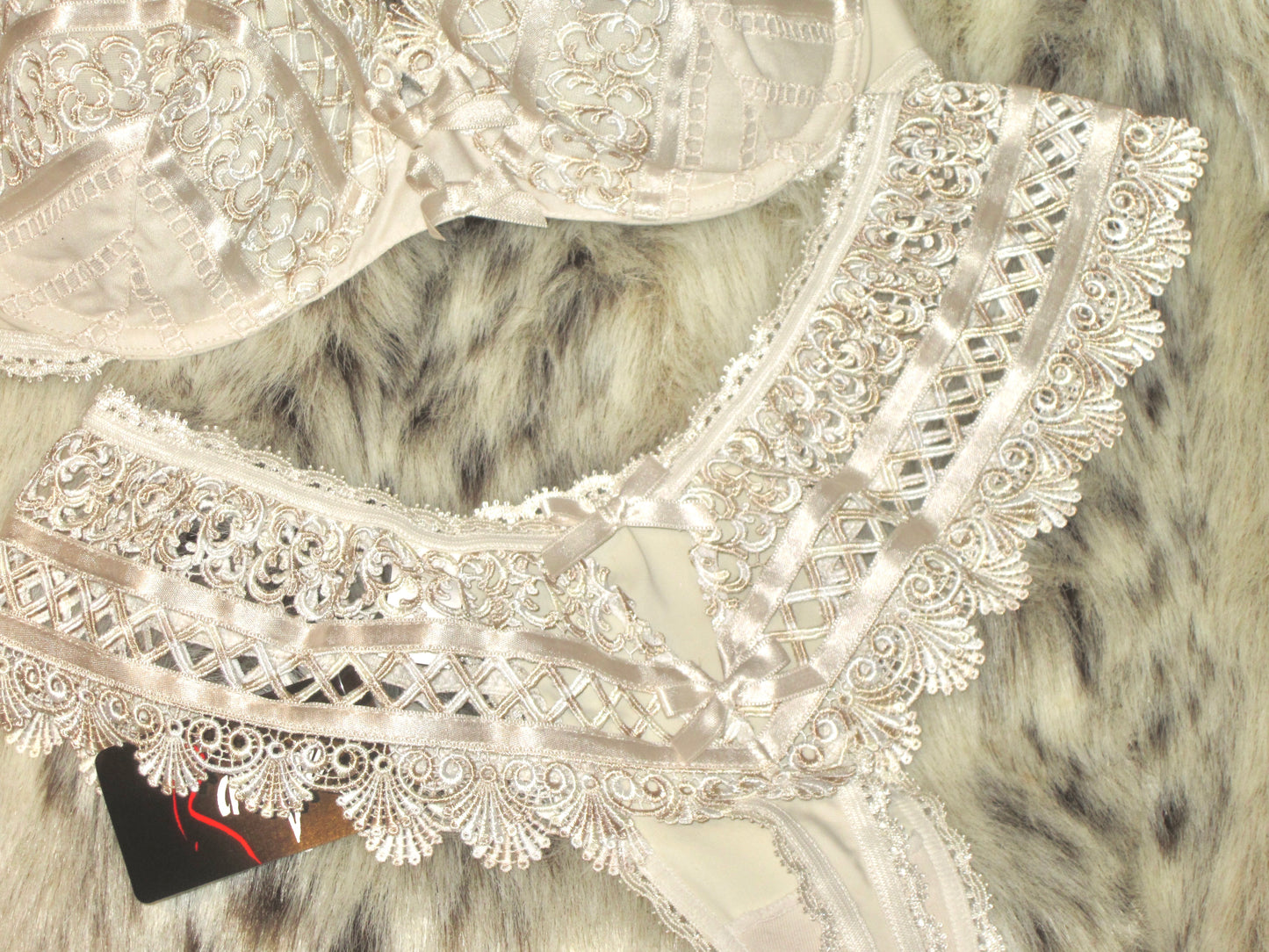 RAVAGE French vintage Antoinette lingerie SET