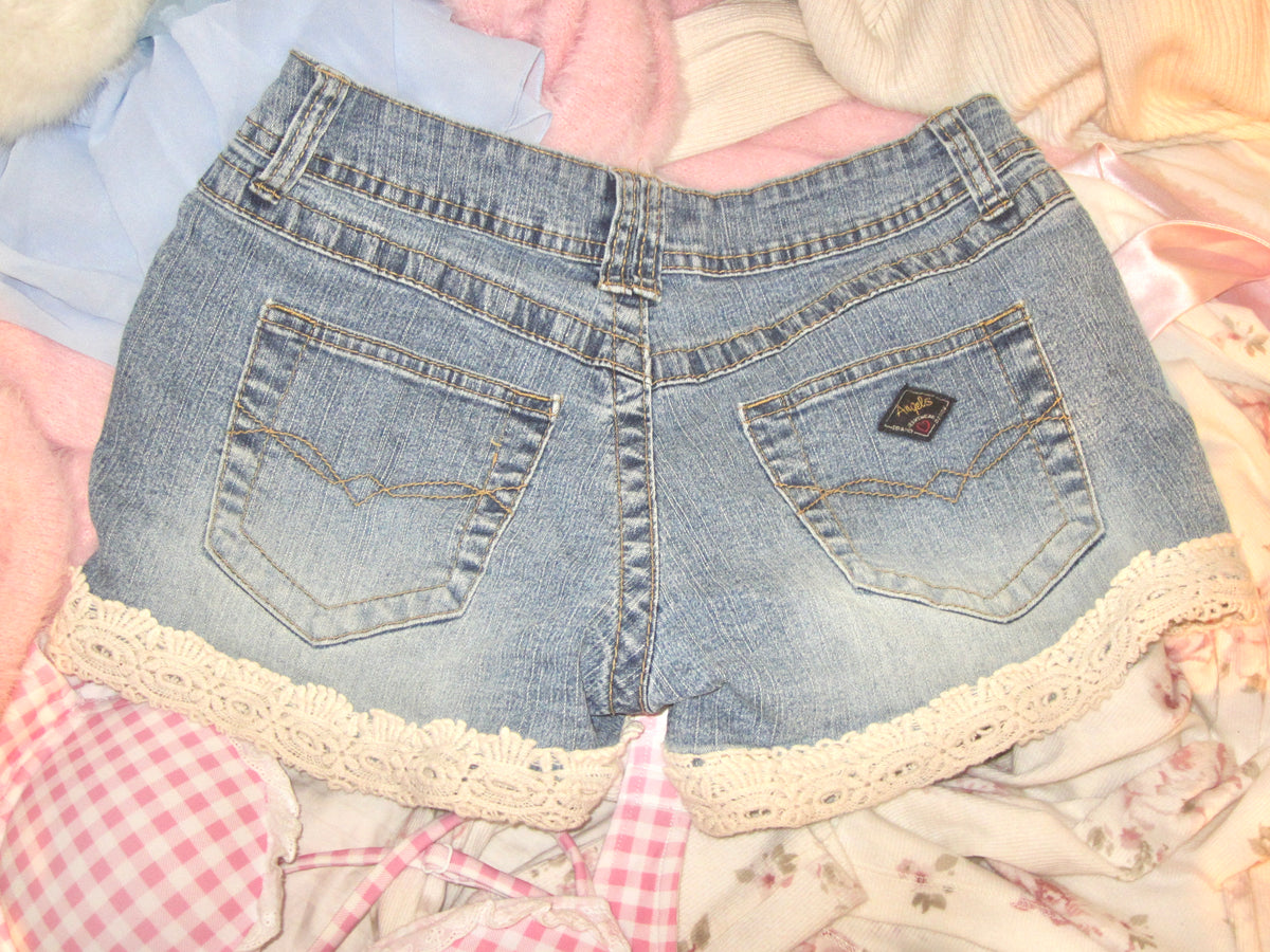 Blue Daisy Lace Letters