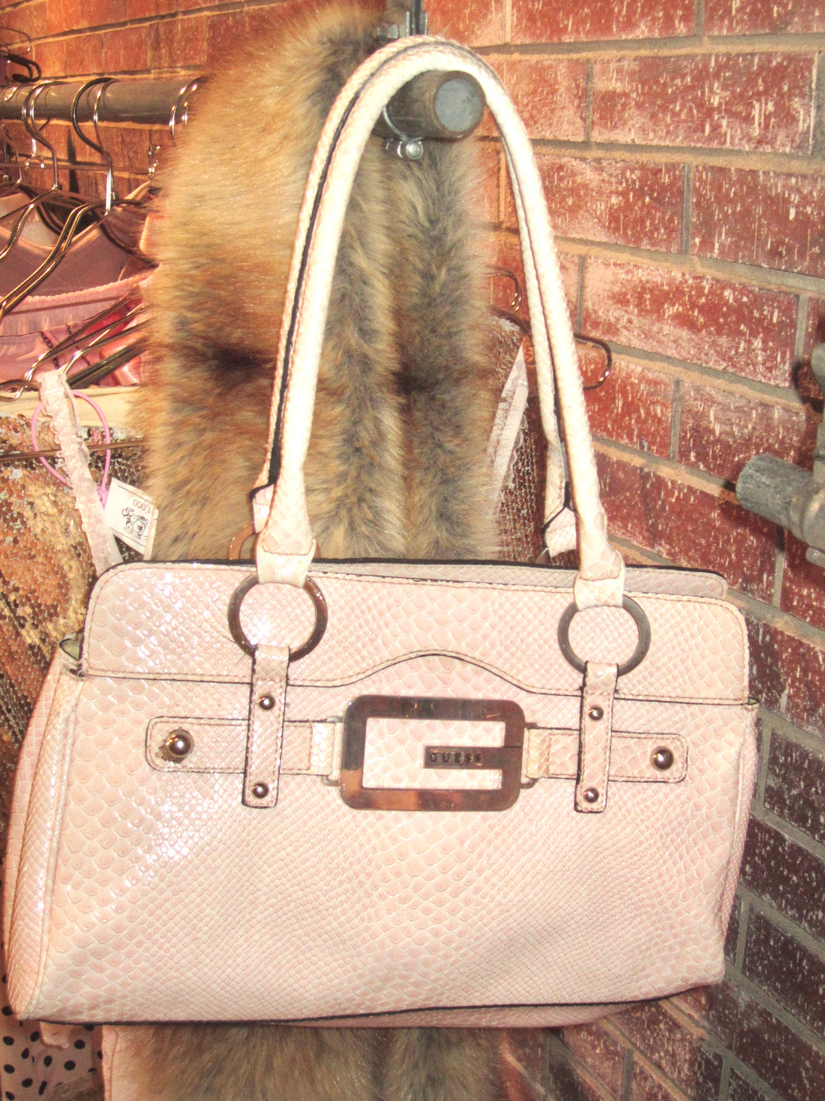 Blush Python Golden Hour