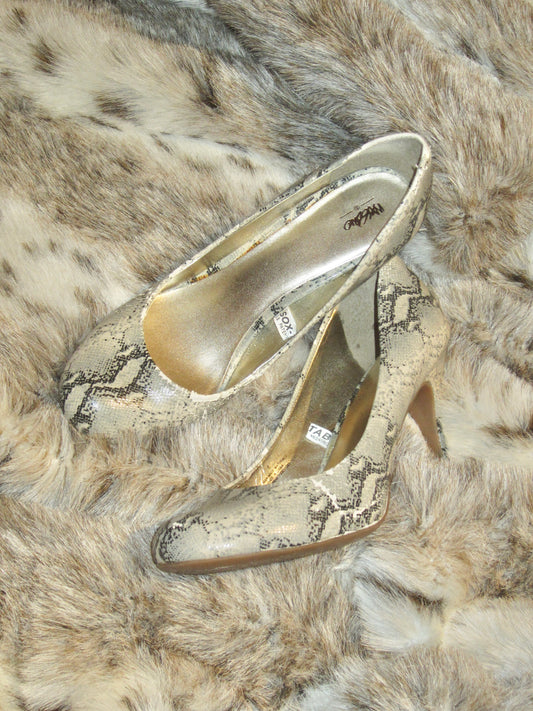 Python Moonlight